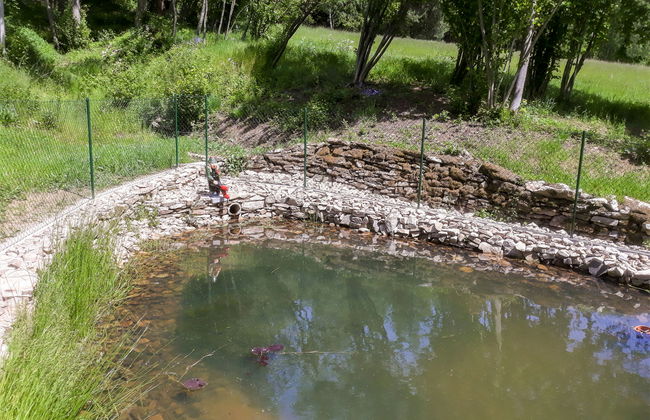 Nebahovy u Prachatic - Foto 32