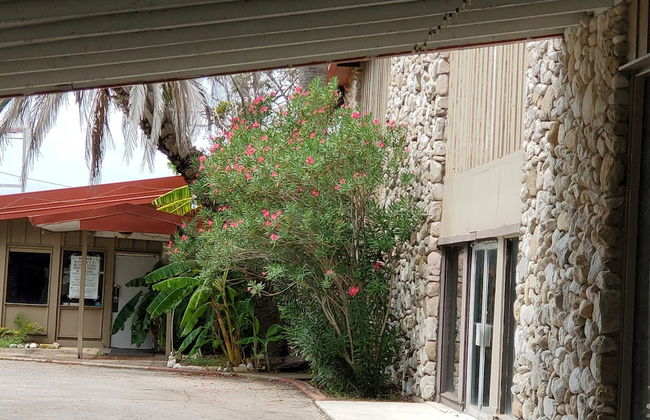 Happy Bay - Photo 20