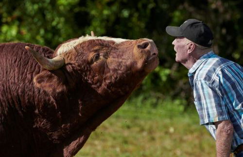 URIA Ferienwohnung - Photo 11