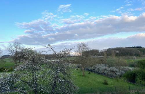 Ferienwohnung in Ettinghausen - Foto 18