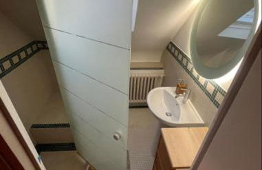 Villa Mulsanne et studio - Centre bourg - Proche circuit des 24H du mans - 12 personnes - Photo 13