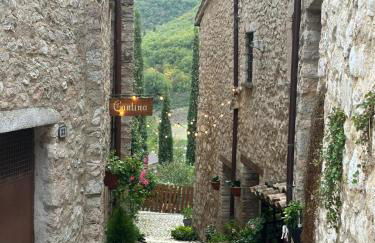 casa vacanze campagna in compagnia - Photo 54