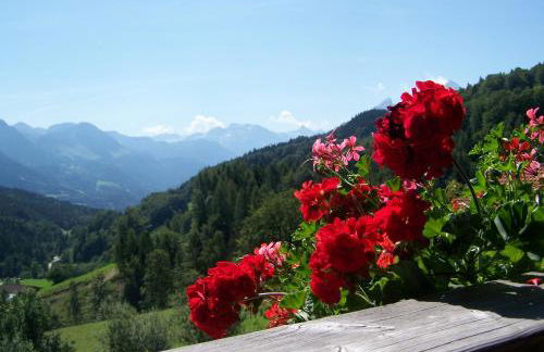 Bauernhof Vorderstiedler - Foto 8