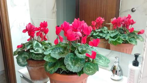 CASA D ARTE MARY 3 camere da letto 2 bagni salotto - Foto 3