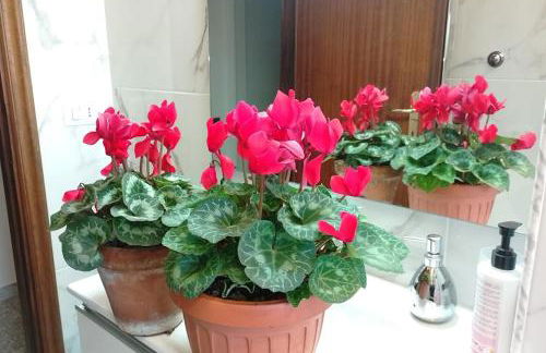 CASA D ARTE MARY 3 camere da letto 2 bagni salotto - Foto 3