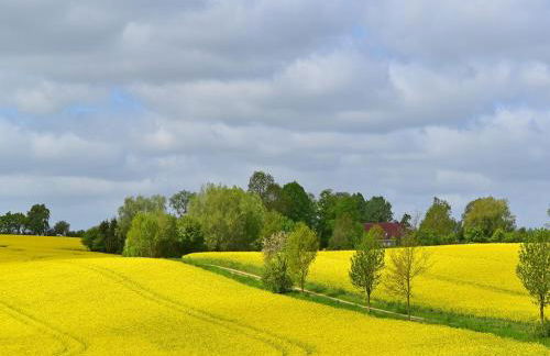 Apartment fur 3 in Metelsdorf - Foto 46