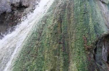 Hábitat Troglodita Almagruz - Foto 35