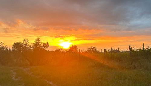 Agriturismo Le Tre Pietre - Podere nel Chianti - Foto 3