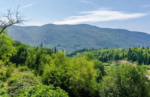 Villa Dalmatian Gem - Photo 87