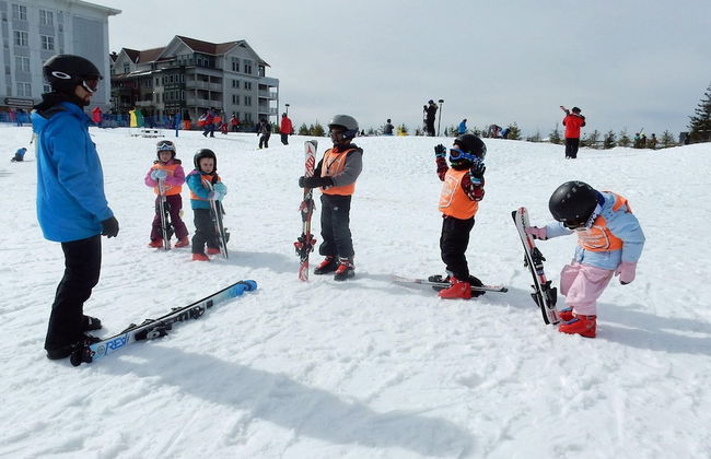 5 Br: Black Bear Crossing #4 - Foto 23