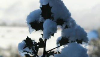 Apartamentos rurales Vilarchao - Foto 2