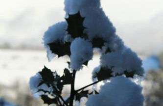 Apartamentos rurales Vilarchao - Foto 2