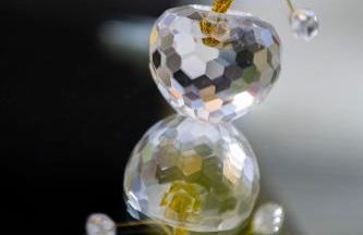 Nido di vetro - Foto 27