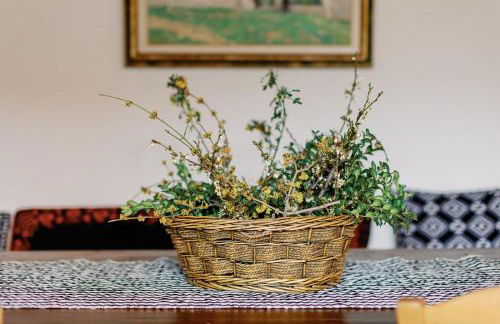 Archontiko Rapti Stone Traditional House - Foto 58