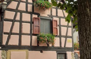 Idéal séjour Alsace ! proche Colmar et sur la route des Vins, Gîte de la Liberté - Foto 14