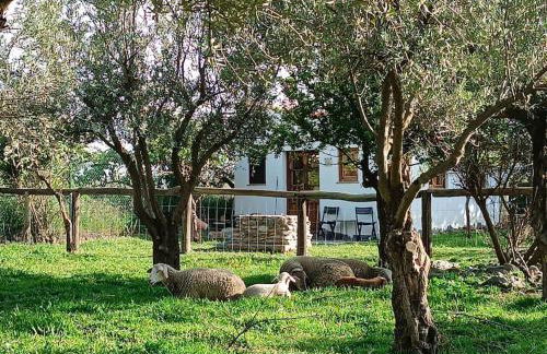 Cortijo de Amor - Foto 13