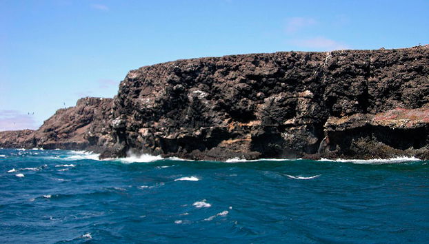 North Seymour Island Full Day Tour - Photo 2