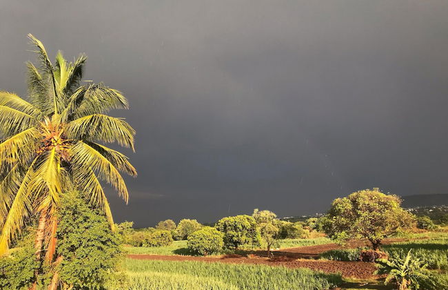 ingawale farmhouse - Photo 45