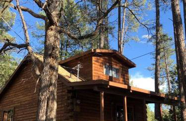 Forest Cabin 4 Cowboys Dream - Foto 16