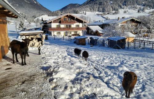 Gästehaus Hinterponholz - Foto 26