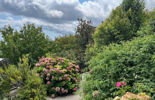 Guest House Pafili - Foto 39