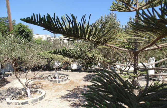 Monolithos Villa - Foto 68