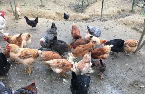 Villa Baronzola - Foto 71