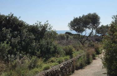 Attico mit Meerblick - Foto 33