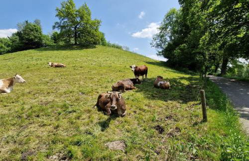 Ferienwohnung Ewigkeit - 4-Sterne DTV klassifiziert - Foto 20