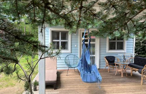 Kwiat Paproci - Foto 47