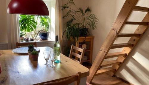 Pretty sunny cottage, Machynlleth - Foto 5