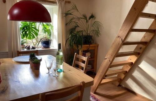 Pretty sunny cottage, Machynlleth - Photo 5