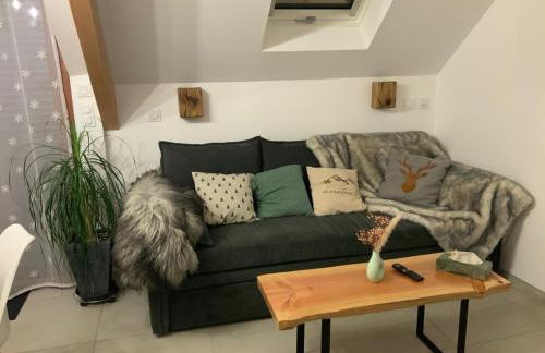 Appartement Neuf Lac de Chabarrou 1-4 personnes été et hiver Cauterets - Foto 7