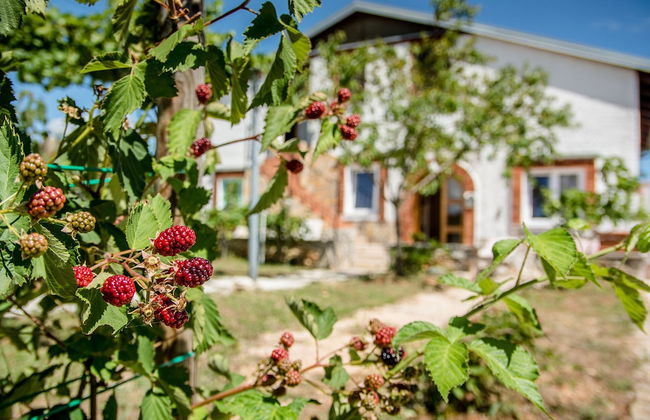 Apartment 1981 - Foto 24