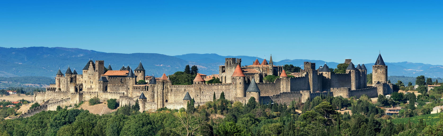 Excursión a Carcasona