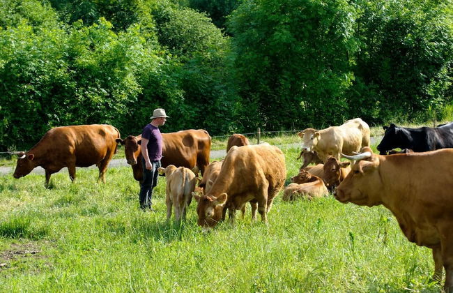 Nengshof - Haus Königskerze - Photo 18