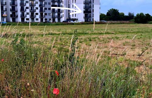 Leśna Przystań Rumia - obok Gdyni i Aquaparku Reda - Foto 50