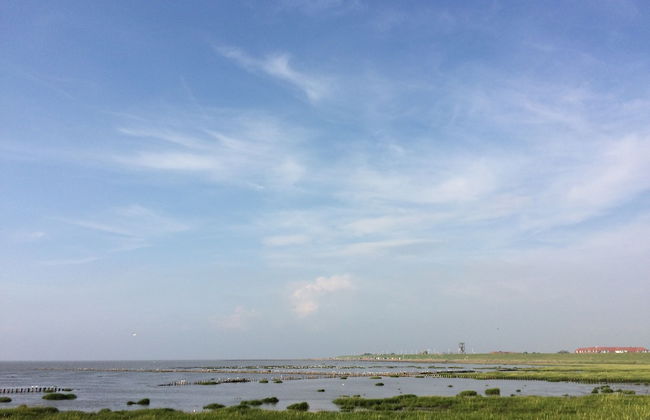 Landhaus Nordsee-Peerhuus - Foto 73