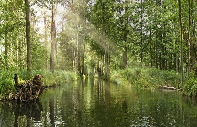 Appartements mit Blick auf die Spree in Lubben - Foto 15