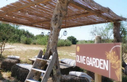 TENUTA DOROLIVO Agri Relais - Foto 18