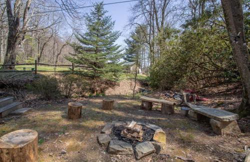 Happy Apple - Foto 4