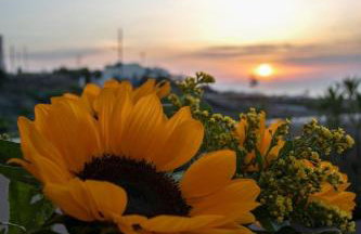 Superior Santorini Villa 2 Bedroom Villa Private Jetted Pool & Amazing Sea - Photo 28