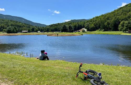 FV43 Bretton Woods single level home with AC on golf course - Foto 38