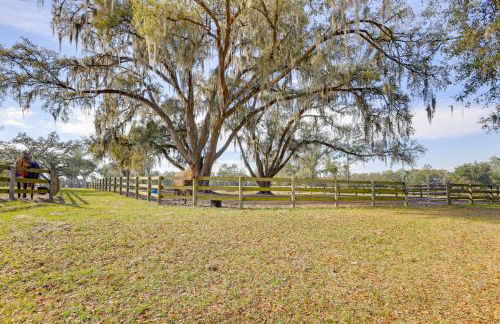 Pet-Friendly Studio Near World Equestrian Center! - Foto 22