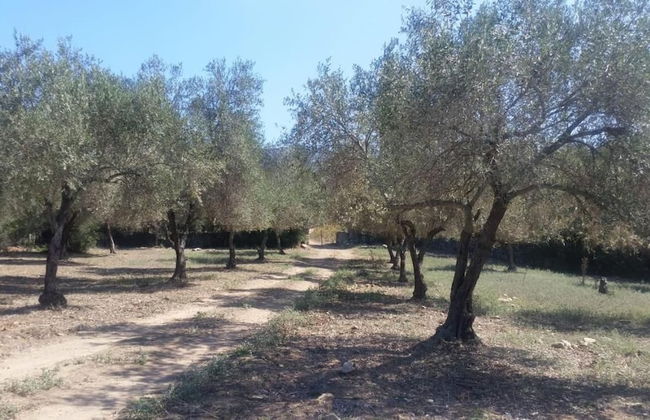 Moulin de l'Ostriconi - Foto 43