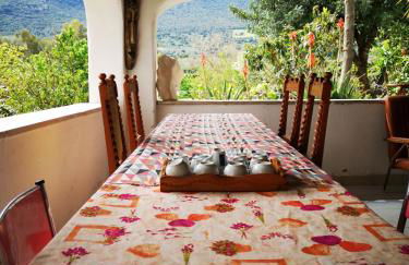 Pinnettu sardo tipica abitazione sarda in ecosistema insetti e animaletti simpatici in condivisione bagno esterno a 10metri Leggere attentamente Prima di prenotare - Foto 28