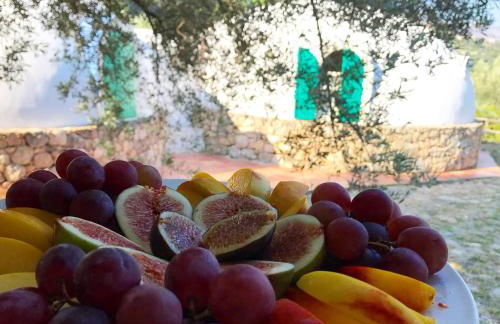 Giardino di Sicilia - Foto 33