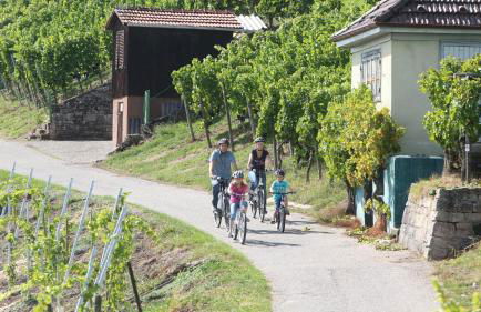 Remshalden - Foto 25