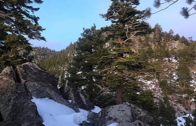 Heaven's Nest - the Best Views of Lake Tahoe! - Photo 13