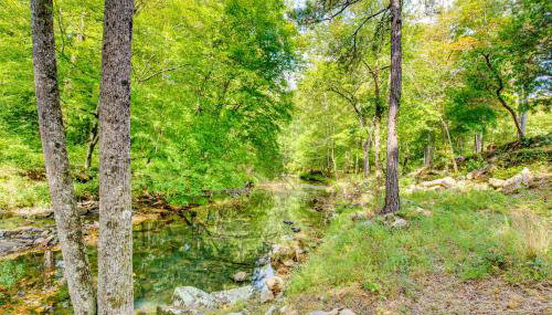 Creek Access, Fire Pit and Grill Summerville Studio - Foto 4